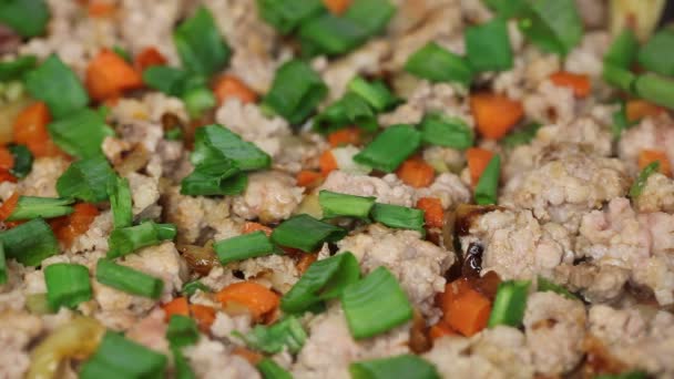 Minced meat with vegetables on a pan — Stok video