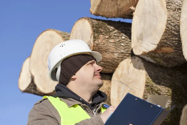 Forester with folder near at the log pile — Stock Photo, Image