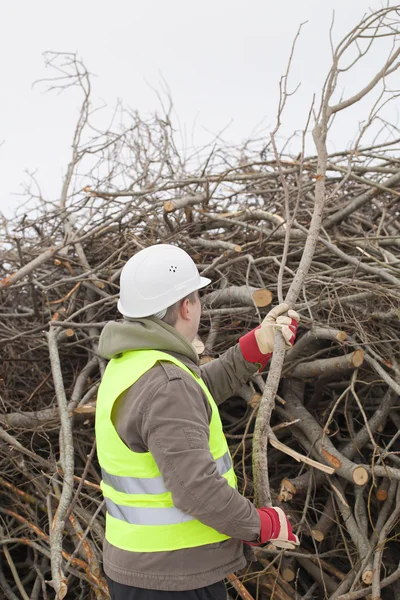 Trabalhador com um ramo nas mãos na grande pilha de galhos — Fotografia de Stock