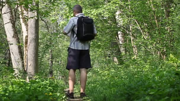 Hiker in the woods on trails episode one — Stock Video