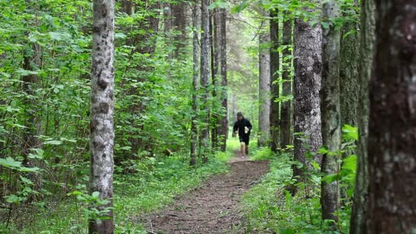 Padre e hijo corriendo a lo largo del sendero del bosque episodio tres — Vídeos de Stock