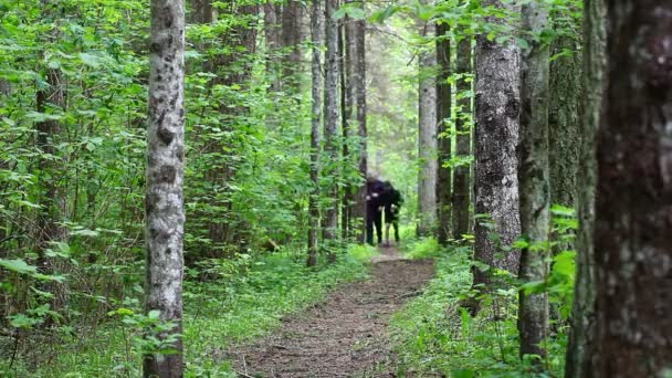 Vater und Sohn laufen auf dem Waldweg Folge elf — Stockvideo