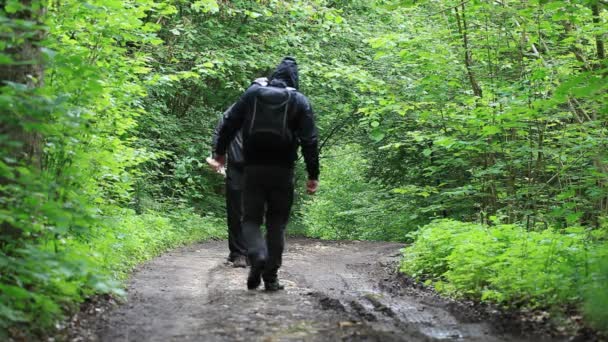 Vandrare med karta och kikare på skog spår episod 2 — Stockvideo