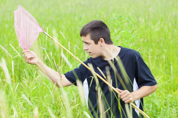 Jongen vangen van vlinders in de weide — Stockfoto