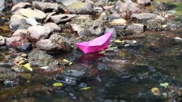 Paper boat in the river episode 2 — Stock Video