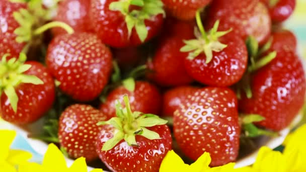 La mano di donna mette una fragola — Video Stock