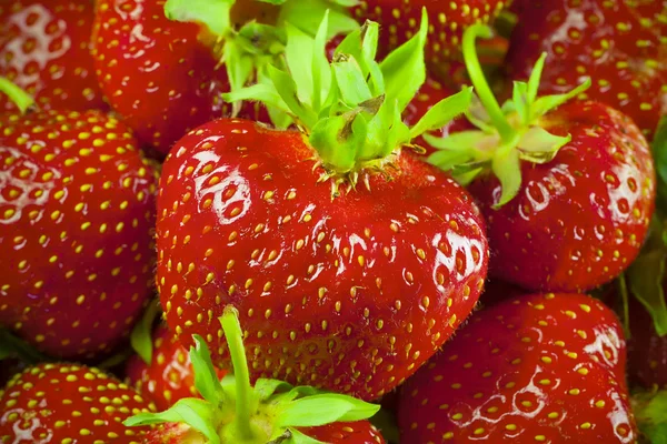 Fresh and Juicy Strawberrys — Stock Photo, Image