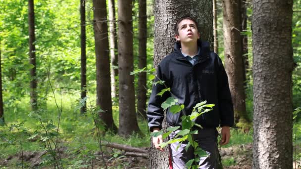 Junge verirrt sich in den Wald Folge 1 — Stockvideo