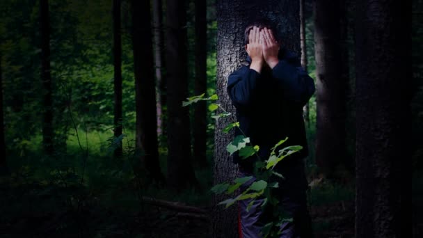 Junge verirrt sich in den Wald Folge 4 — Stockvideo