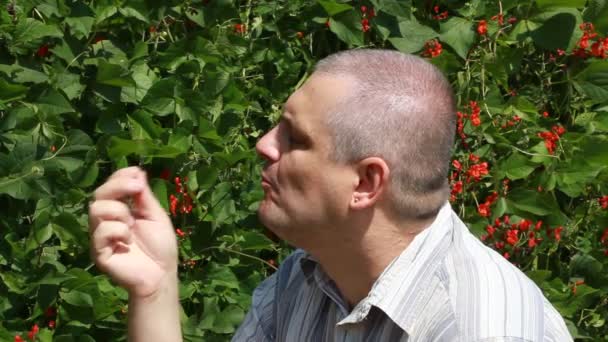 Hombre en el jardín comiendo grosellas rojas — Vídeos de Stock