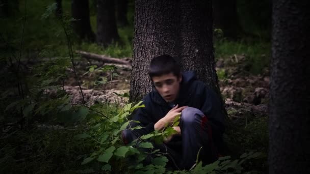Chłopiec stracił w lesie odcinek 9 — Wideo stockowe