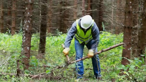 Lumberjack arbetar i skogen med ett ax-avsnitt 6 — Stockvideo