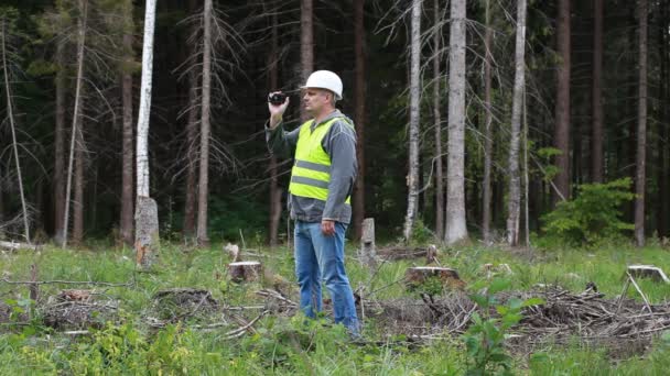 Oficer lasu nakręcony deforest odcinek 1 — Wideo stockowe