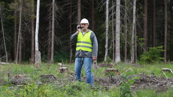 Oficer lasu nakręcony deforest odcinek 3 — Wideo stockowe