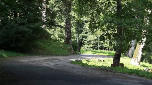 Pojke kör på morgonen i avsnittet park 1 — Stockvideo