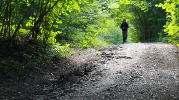 Αγόρι τρέξιμο το πρωί στο πάρκο επεισόδιο 1 — Αρχείο Βίντεο