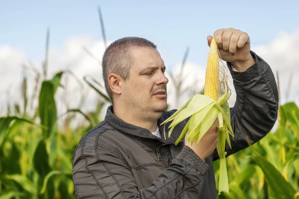 Agricoltore sul campo di mais in estate — Foto Stock