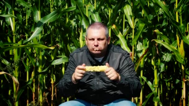 Человек на кукурузном поле 1 серия — стоковое видео