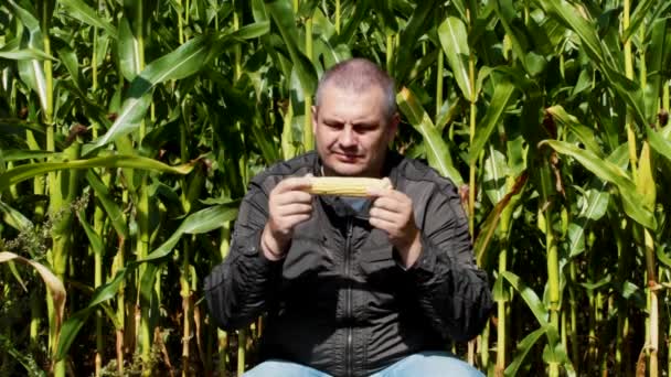 Hombre en el campo de maíz episodio 2 — Vídeo de stock
