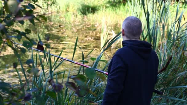 Man fishing near lake alone in summer episode 1 — Stock Video
