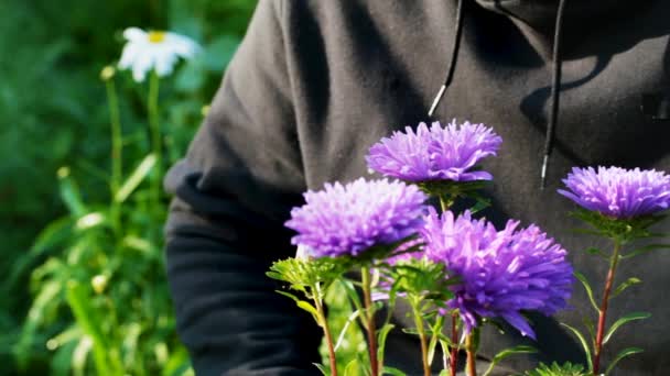 Man in de buurt van bloemen in de tuin aflevering 2 — Stockvideo