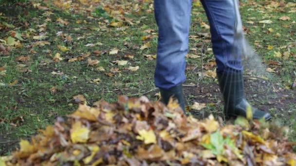 Mann sammelt Blätter in der Herbst-Episode 1 — Stockvideo