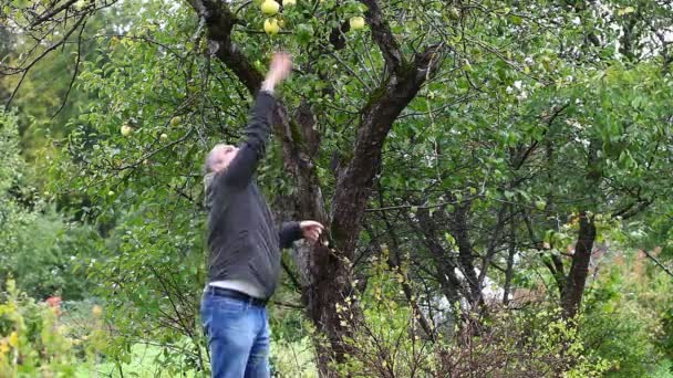 Чоловік намагається кинути яблуко в саду епізод 1 — стокове відео