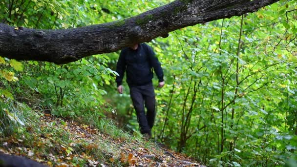 第 2 集森林步道上的远足者 — 图库视频影像
