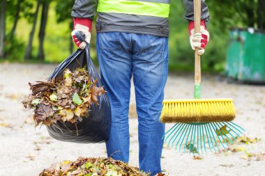 Man with brush and rake collects leaves clipart