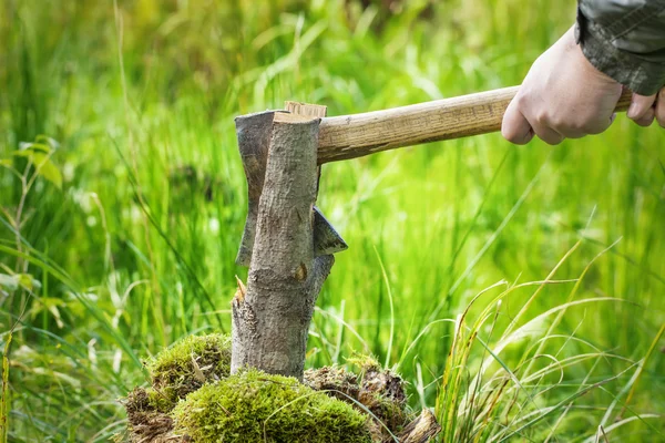 Lumberjack in forest with an ax — Stock Photo, Image