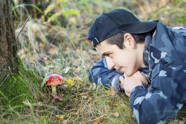 Chłopiec w lesie oglądając muchomor — Zdjęcie stockowe