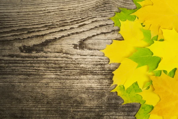 Hoja de arce de otoño en tablero de madera viejo — Foto de Stock