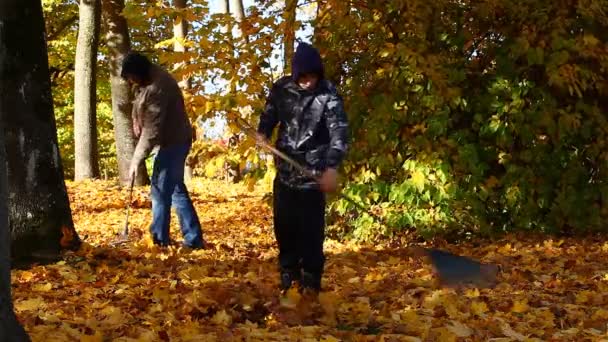 La gente recoge hojas en el episodio de otoño 7 — Vídeo de stock