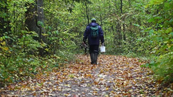 Wanderer auf Waldwegen Folge 2 — Stockvideo