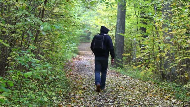 Caminante por senderos forestales episodio 1 — Vídeo de stock