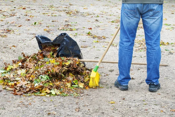Man with brush near rake and leaves — Stock Photo, Image