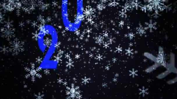 Sněhové vločky padající Epizoda 3 — Stock video