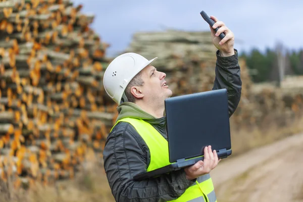 Forest employee near stacks of logs — Stock Photo, Image