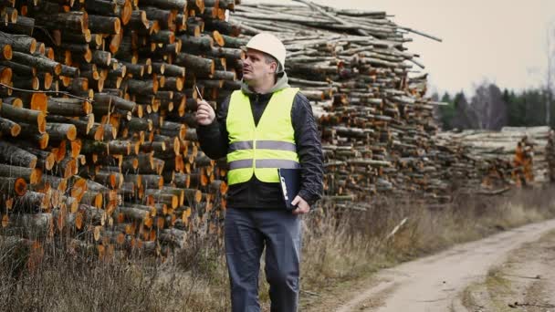Trabajador forestal cerca de pilas de troncos episodio 2 — Vídeo de stock