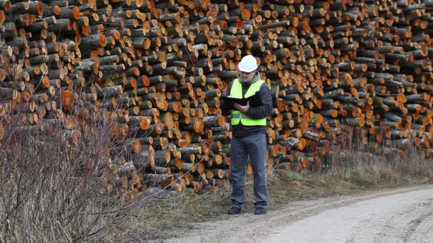 Waldarbeiter in der Nähe von Baumstämmen Folge 4 — Stockvideo