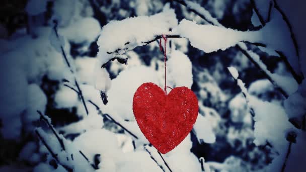 Coeur textile pendu à un buisson forestier enneigé — Video