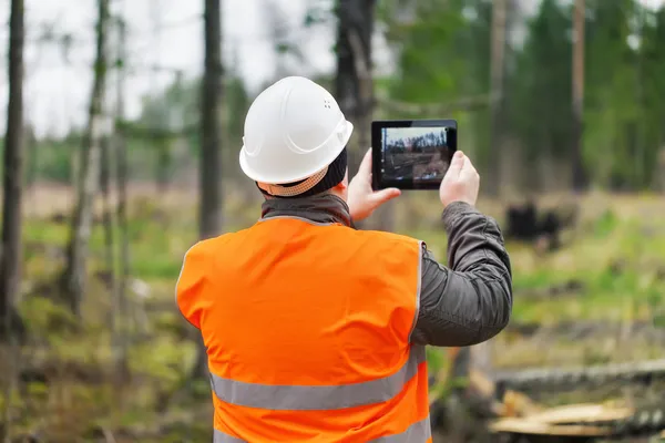 Forstbeamter mit Tablet-PC im zerstörten Wald — Stockfoto