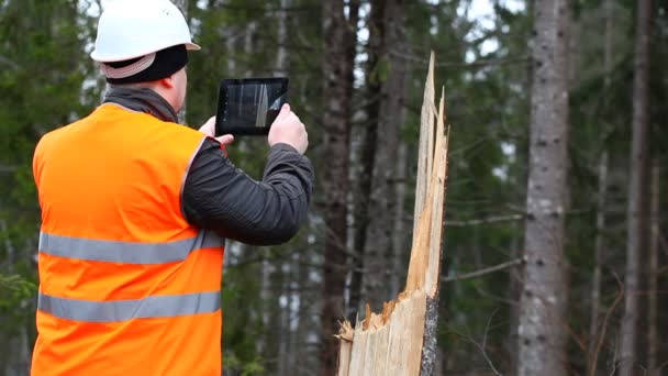 Ufficiale forestale con tablet PC nella foresta distrutta episodio 1 — Video Stock