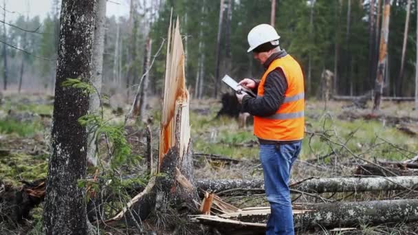 Oficial Forestal con tableta PC en bosque destruido episodio 4 — Vídeo de stock