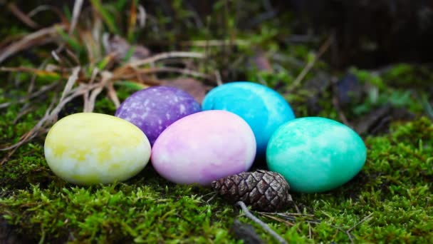 Huevos de Pascua en diferentes colores sobre musgo en el bosque — Vídeo de stock