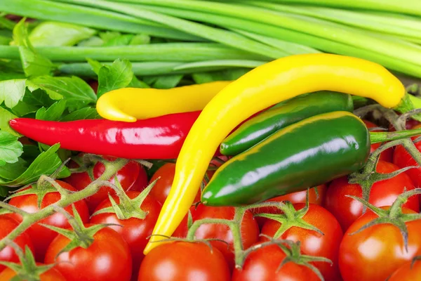 Peppers, tomatoes with spring onions and parsley — Stock Photo, Image
