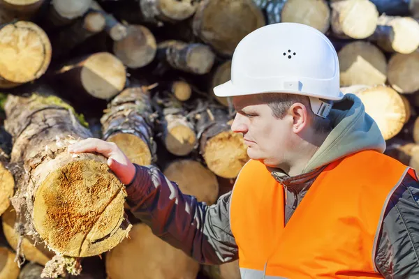 Madera cerca de troncos en el bosque —  Fotos de Stock