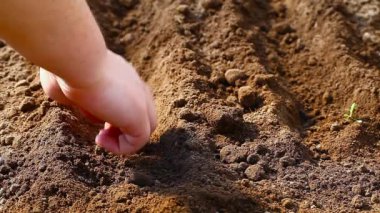 adam Bahçe Bölüm 5