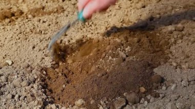 adam Bahçe Bölüm 6