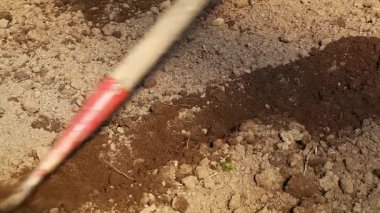 adam Bahçe Bölüm 7